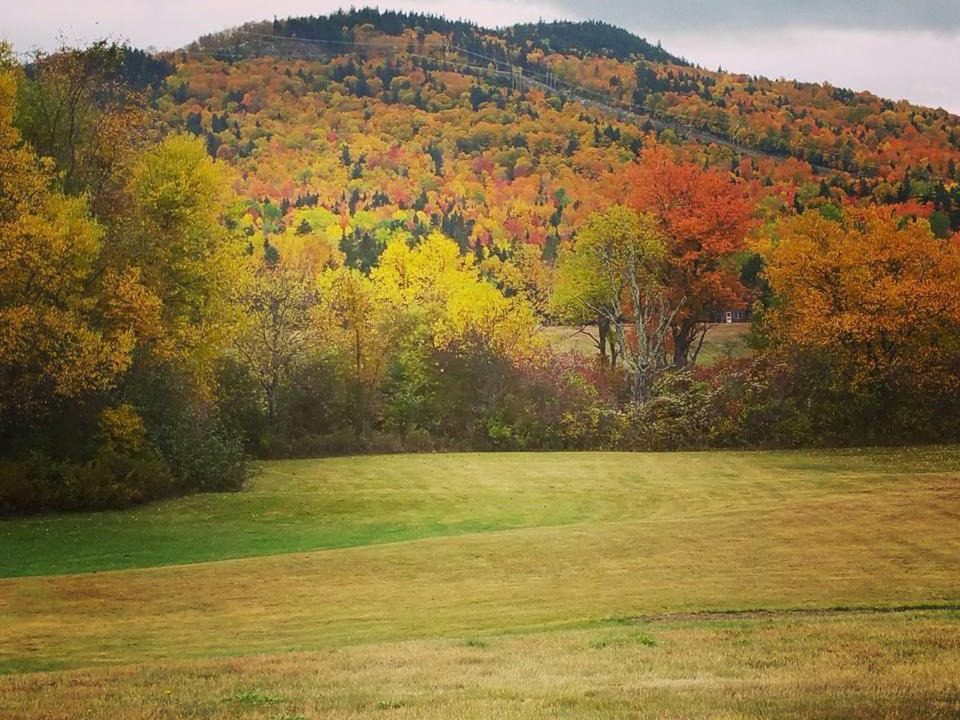 Photo of Others in Stratton