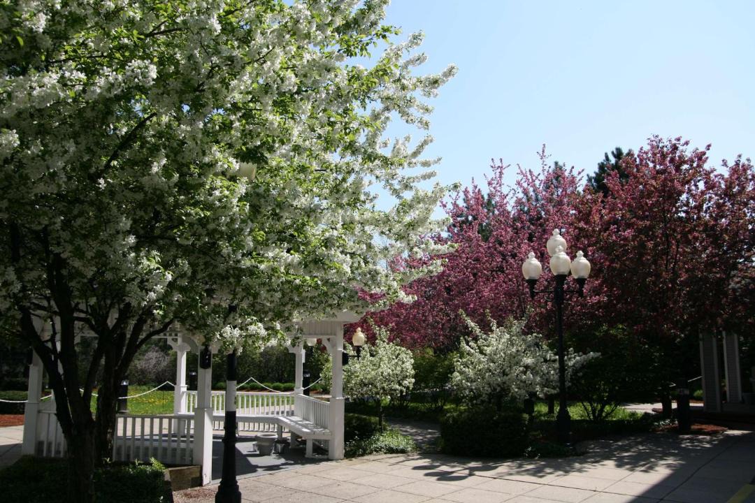 Photo of Others in Burlington