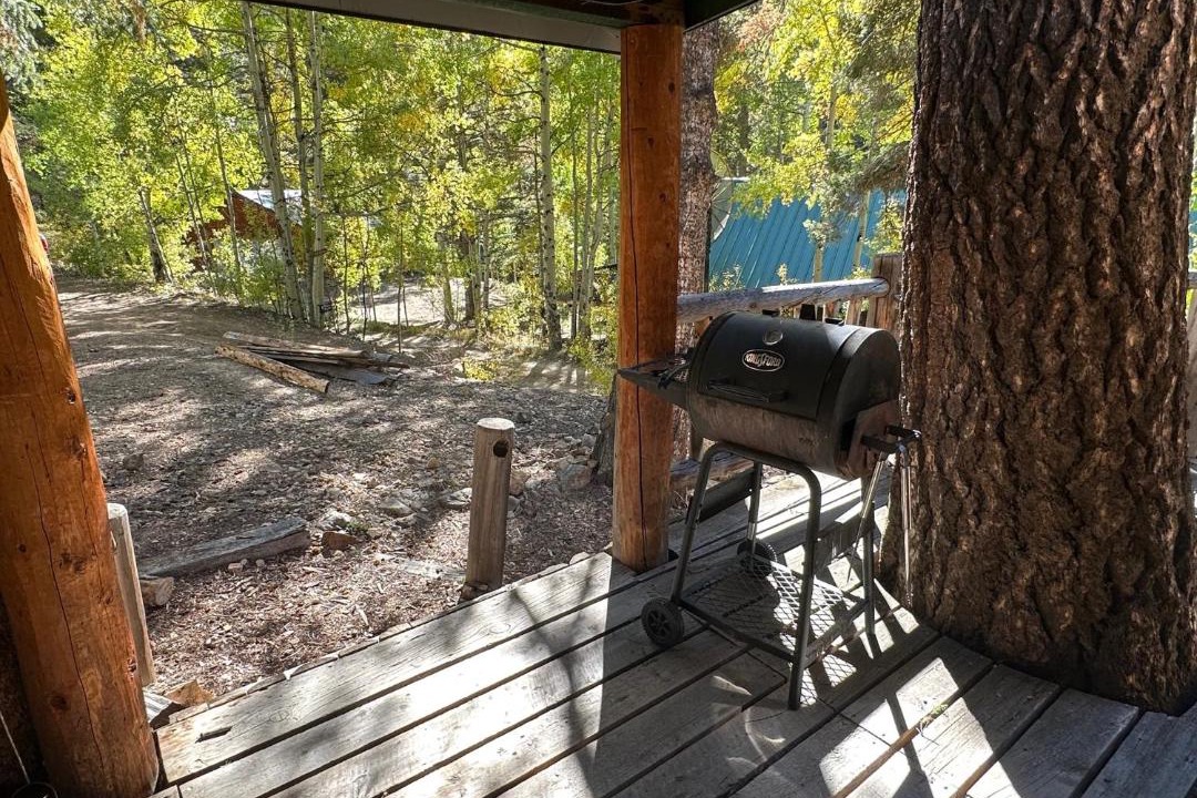Photo of Patio Balcony in Red River