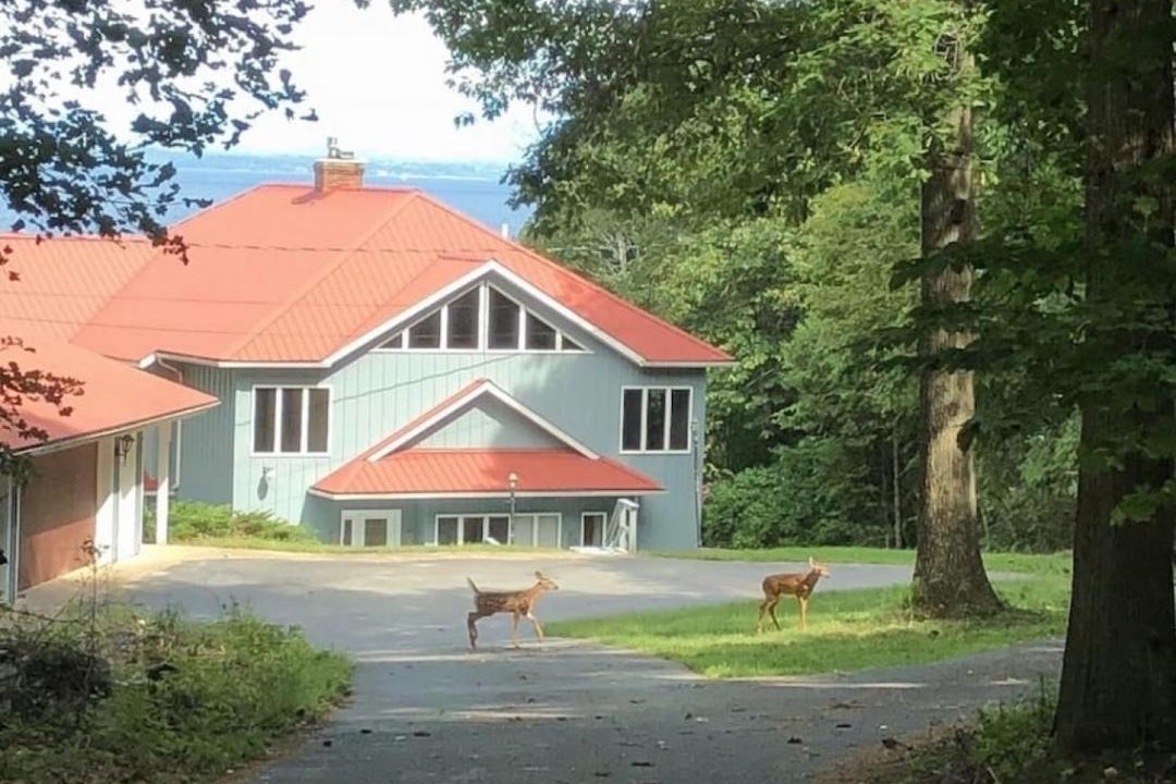 Photo of Others in Town of Chesterfield
