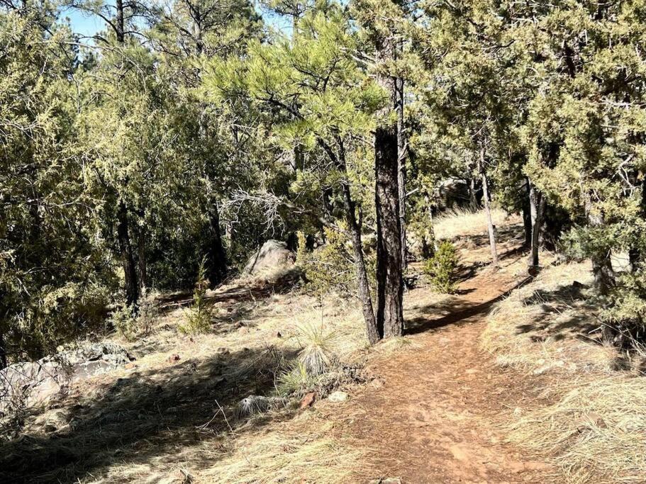 Photo of Outdoor in Show Low