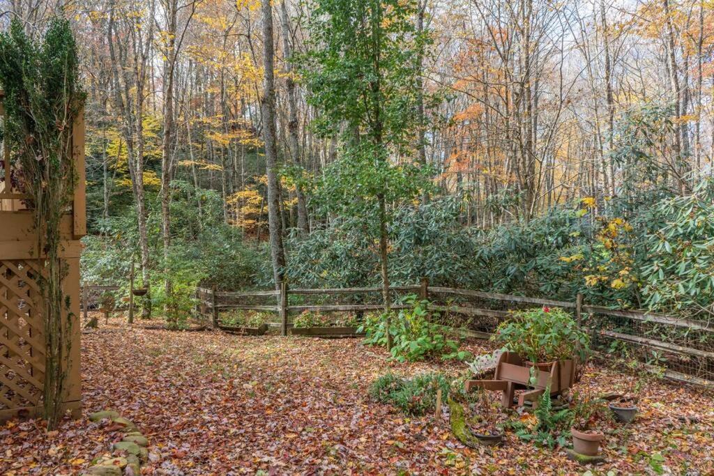 Photo of Others in Blowing Rock