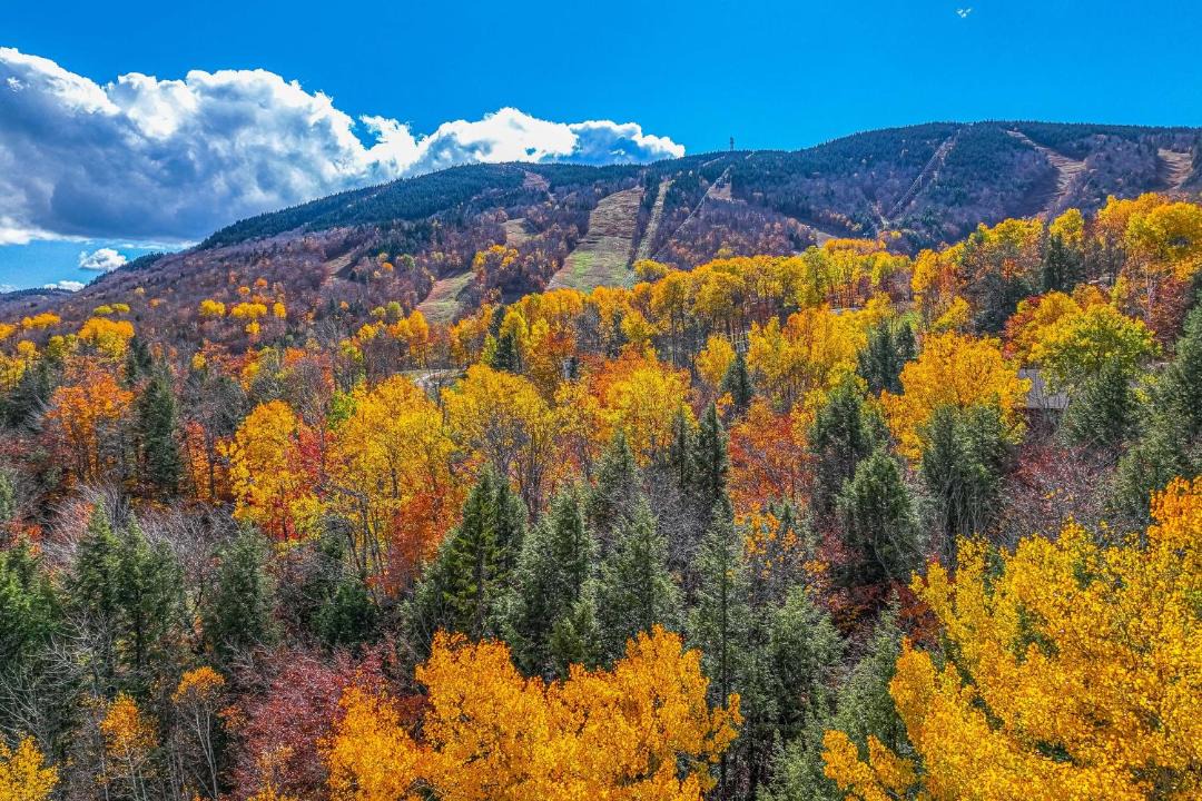 Photo of Outdoor in Sunday River Area