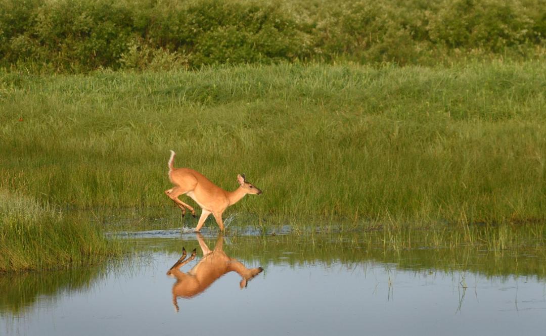 Photo of Others in Grantsburg