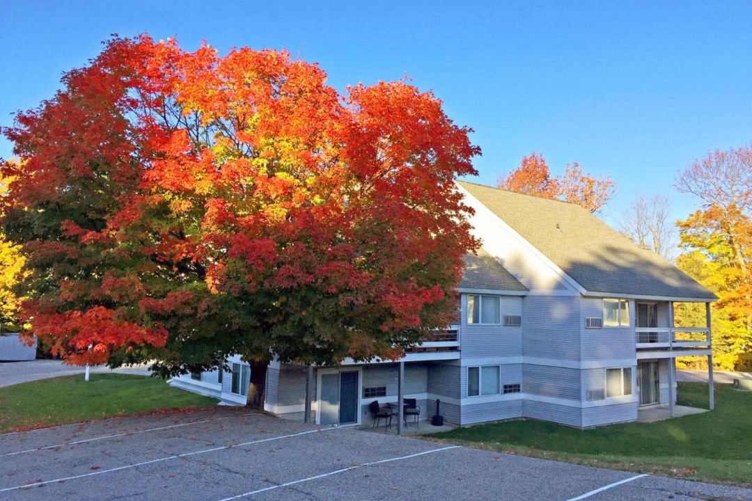 Photo of Buildings in Killington