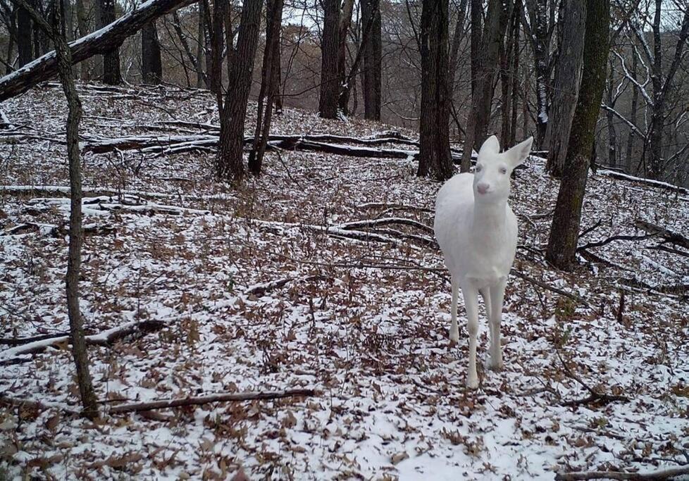 Photo of Others in St Croix Falls