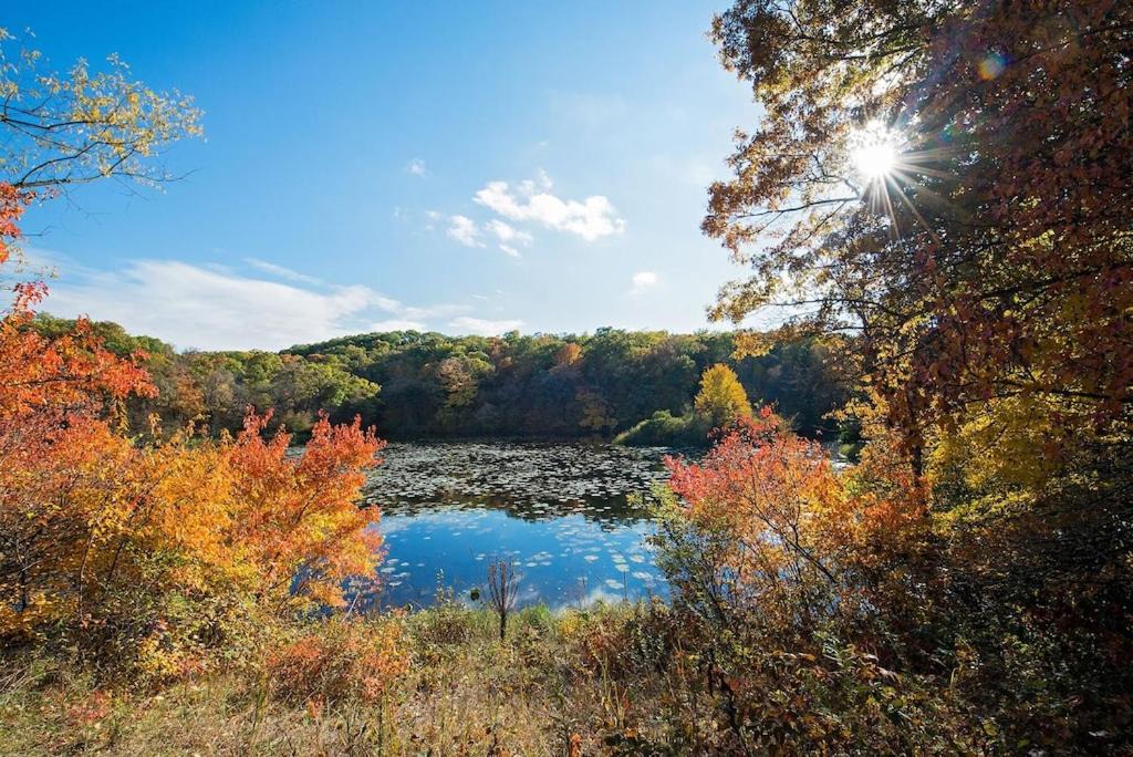 Photo of Outdoor in St Croix Falls