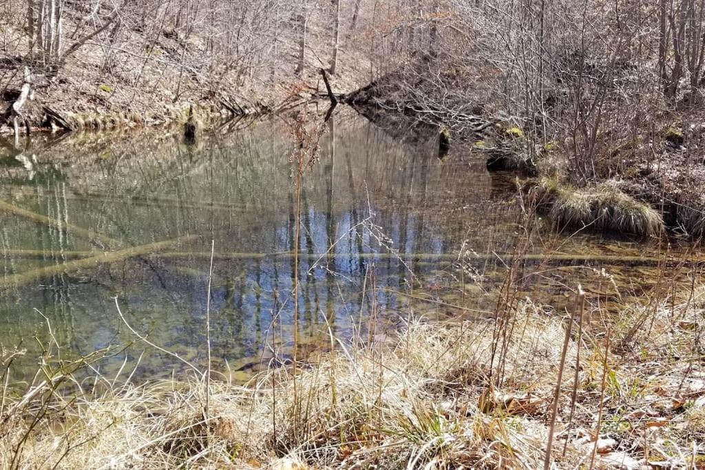 Photo of Outdoor in Adrian