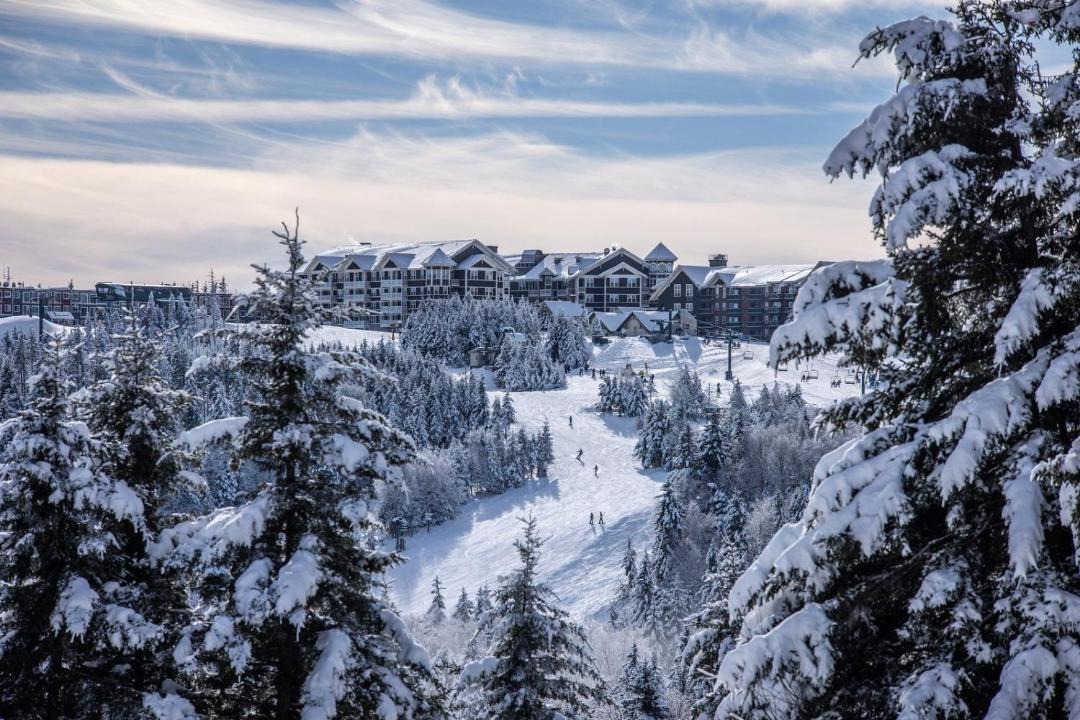 Photo of Others in Snowshoe