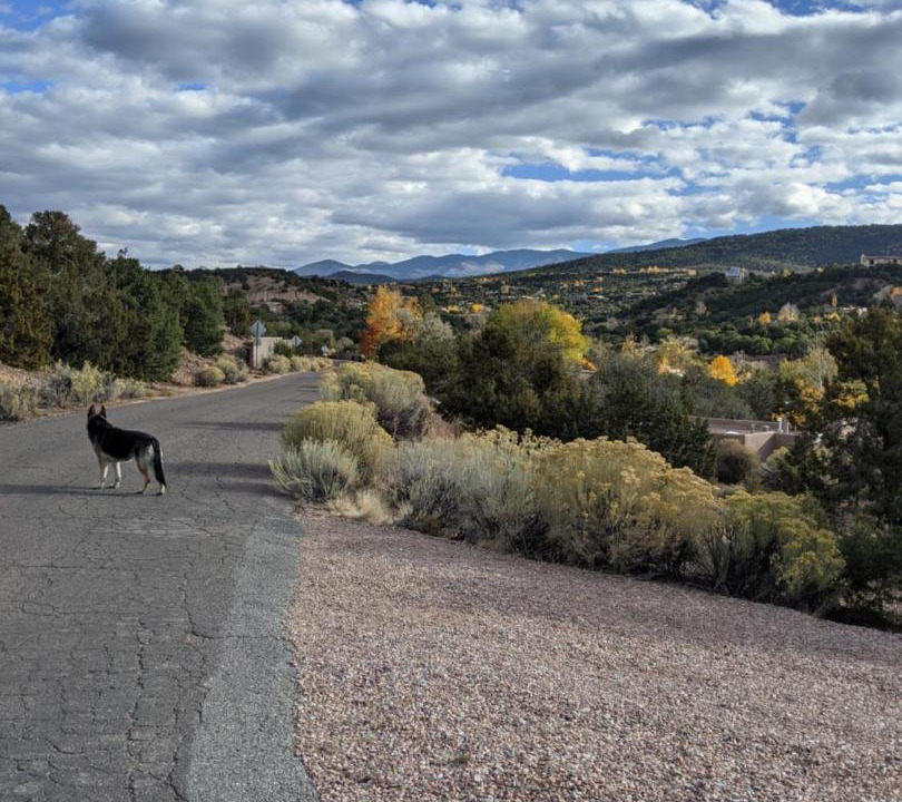 Photo of Outdoor in Northeast Santa Fe