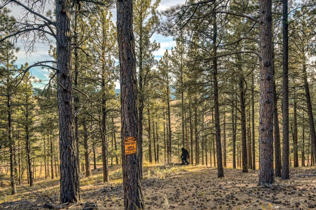 Photo of Others in Angel Fire