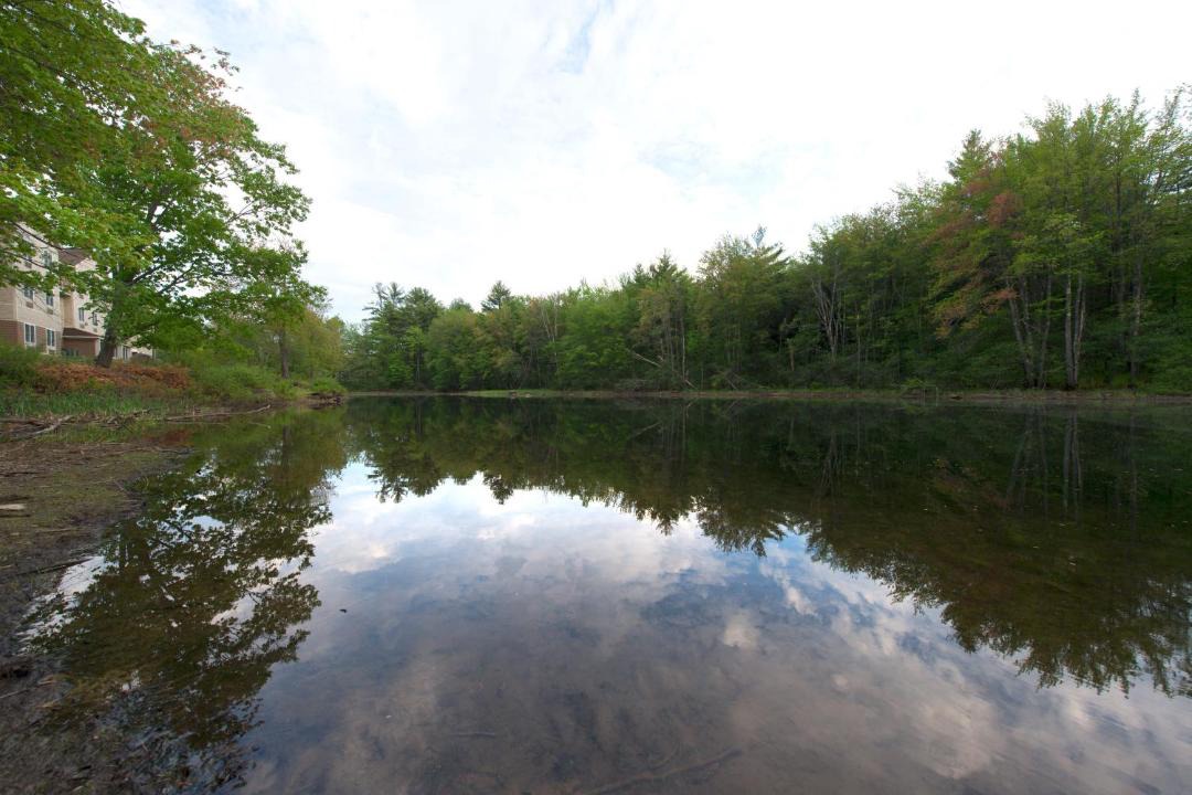 Photo of Others in Tilton