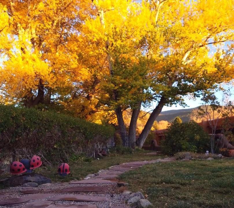 Photo of Others in Taos