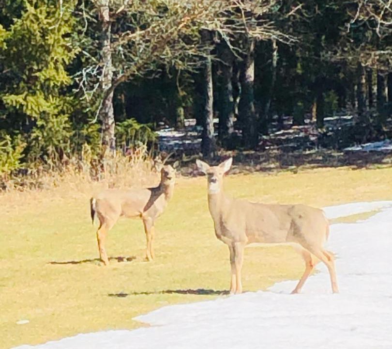 Photo of Others in Egg Harbor