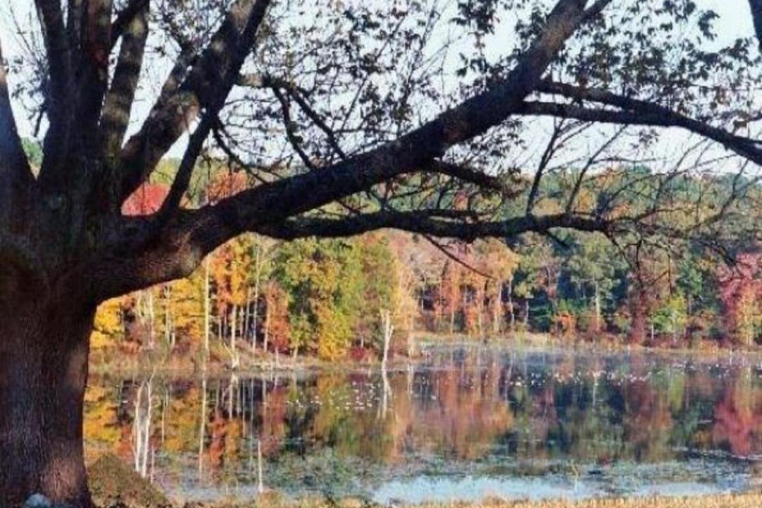 Photo of Others in Pomfret