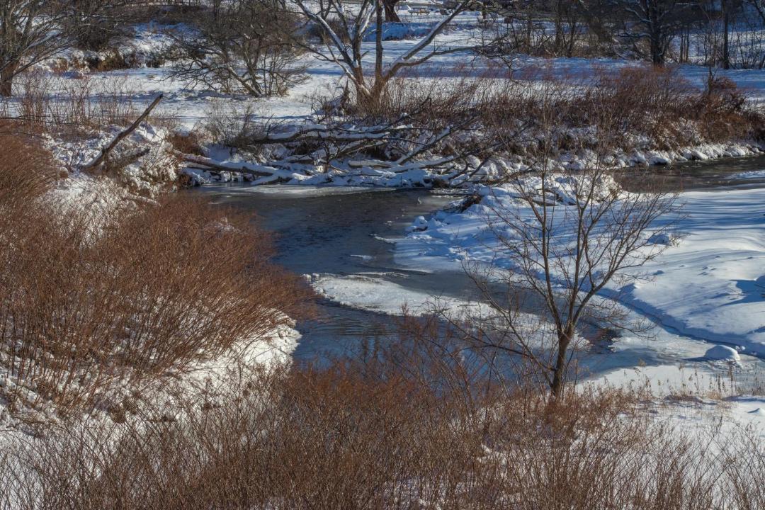 Photo of Others in Stowe Area