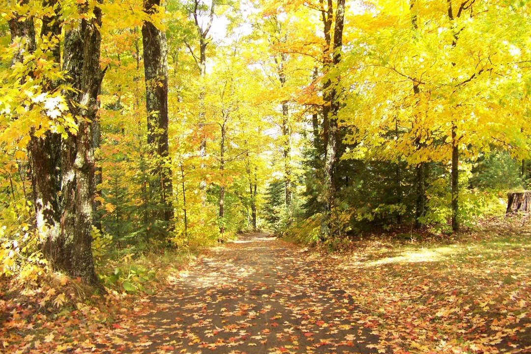 Photo of Outdoor in Phelps
