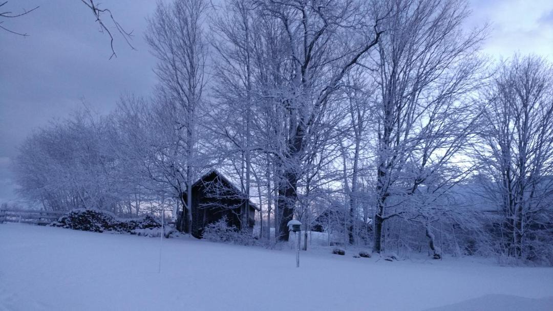 Photo of Others in Jaffrey