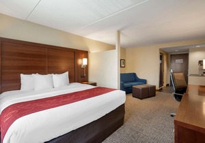 Comfort Suites Fredericksburg North