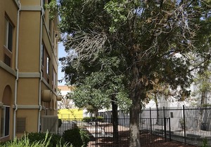 Days Inn & Suites by Wyndham Airport Albuquerque