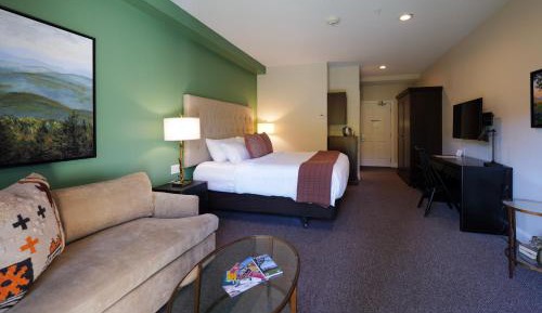 Pond Ridge Pet Friendly King Room 