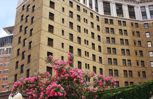 Core Hotel | The Saint Paul Hotel
