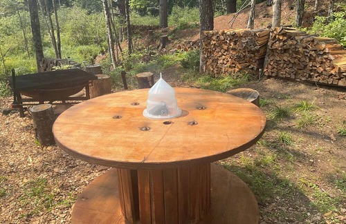 Williamstown Cabin | Lodges @ Tamias Post