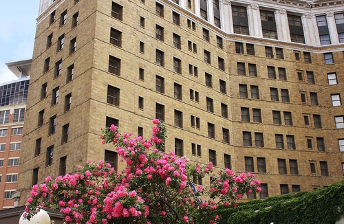 Core Hotel | The Saint Paul Hotel